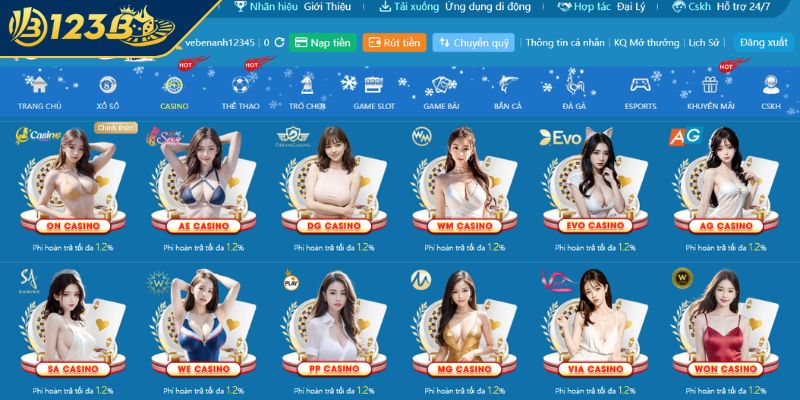 Tìm hiểu chung về Casino 123B