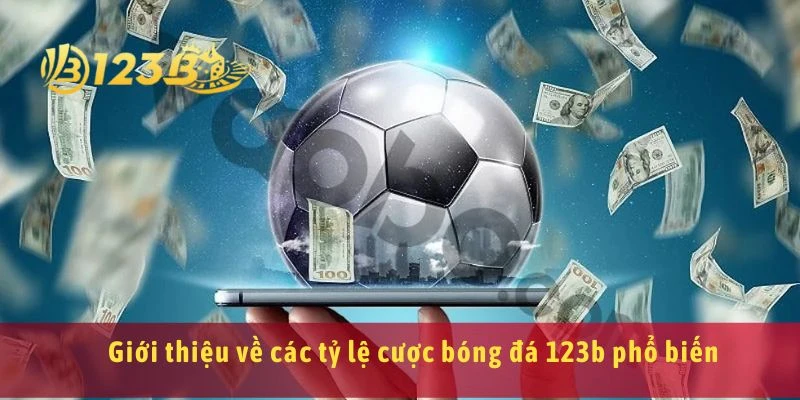 Giới thiệu về các tỷ lệ cược bóng đá 123b phổ biến